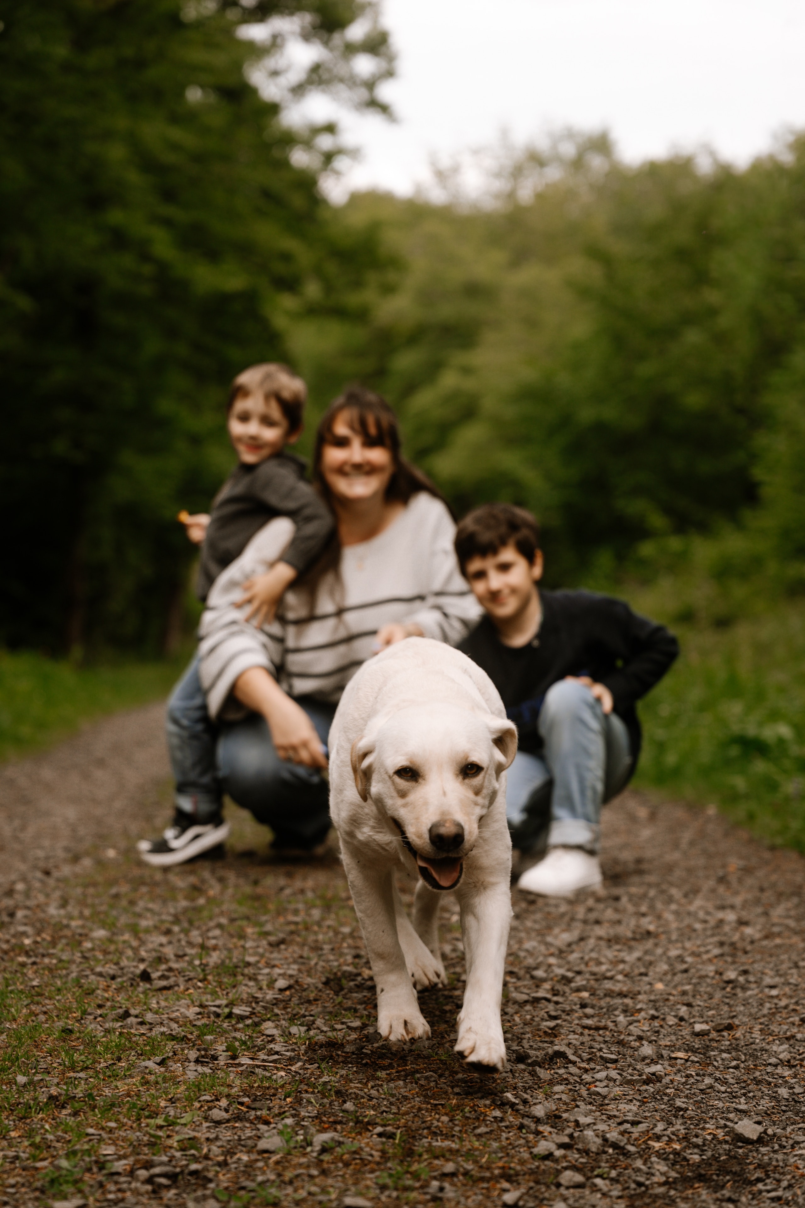 Gallery cover image